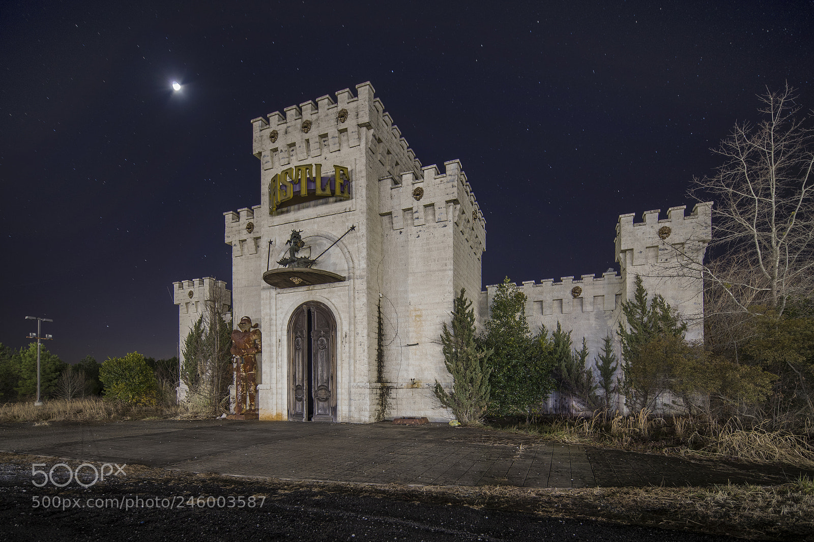 Canon EOS-1D X Mark II sample photo. Castle video game. photography
