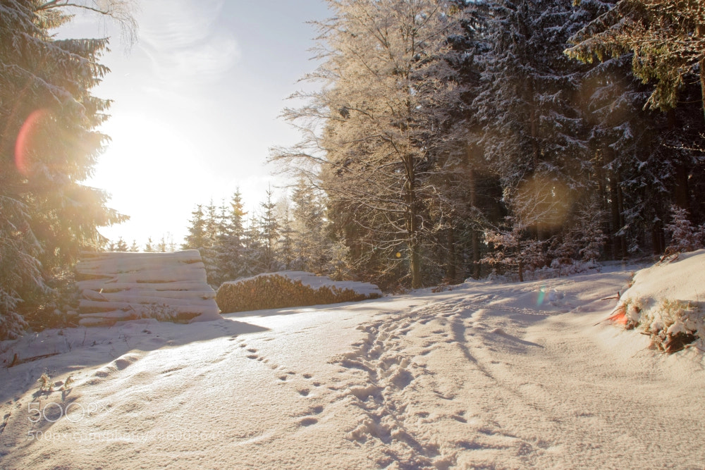 Sony SLT-A68 sample photo. Winterwonderland photography