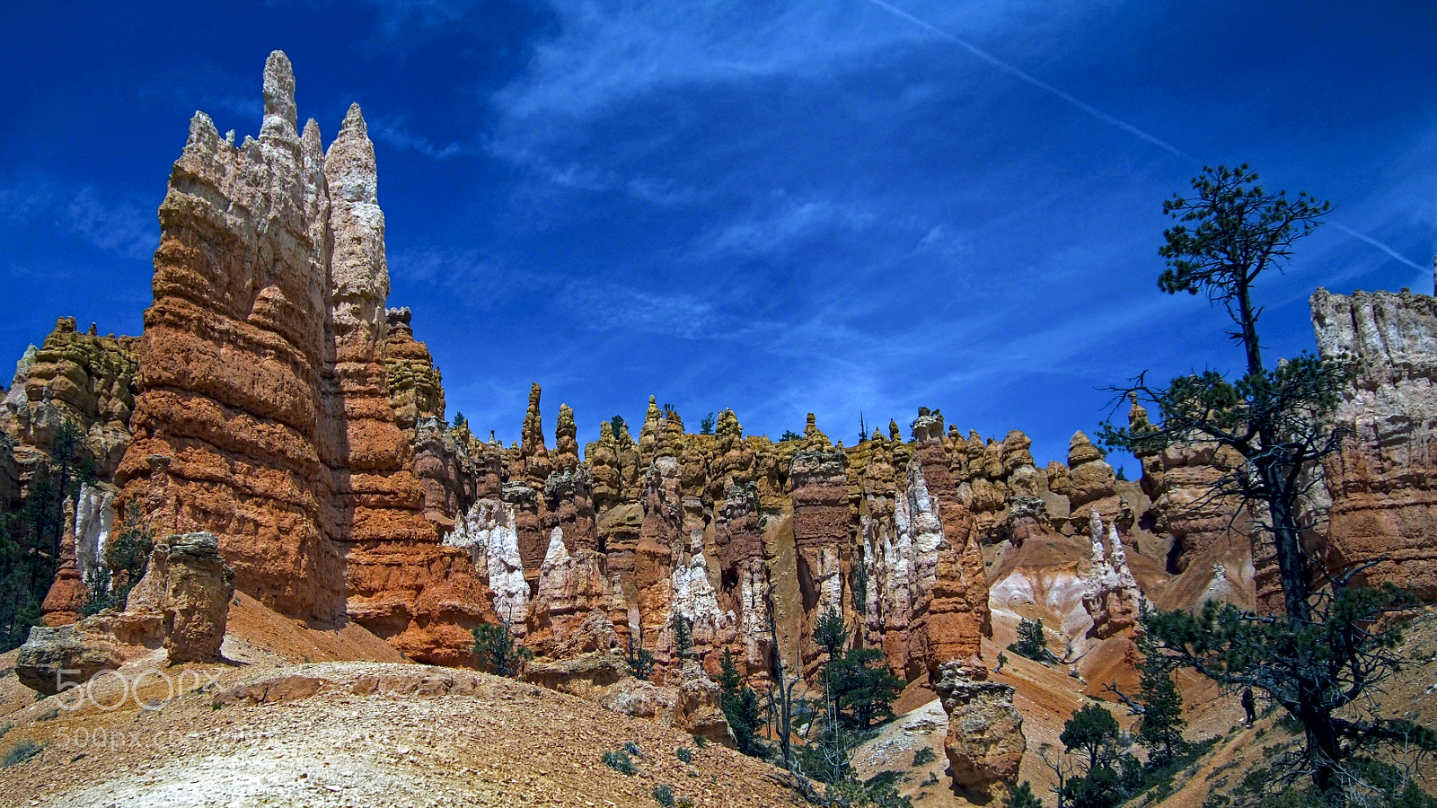 Olympus OM-D E-M5 sample photo. Bryce canyon national park photography