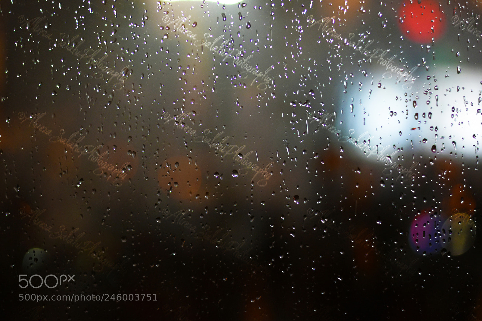 Nikon D5500 sample photo. Rain photography