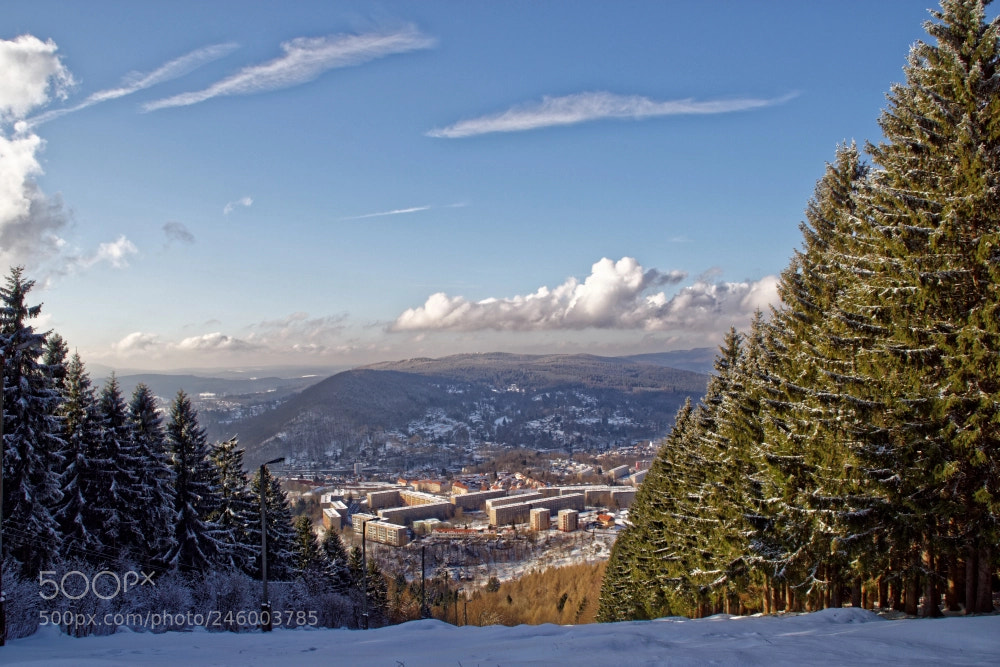 Sony SLT-A68 sample photo. The thuringian forest photography