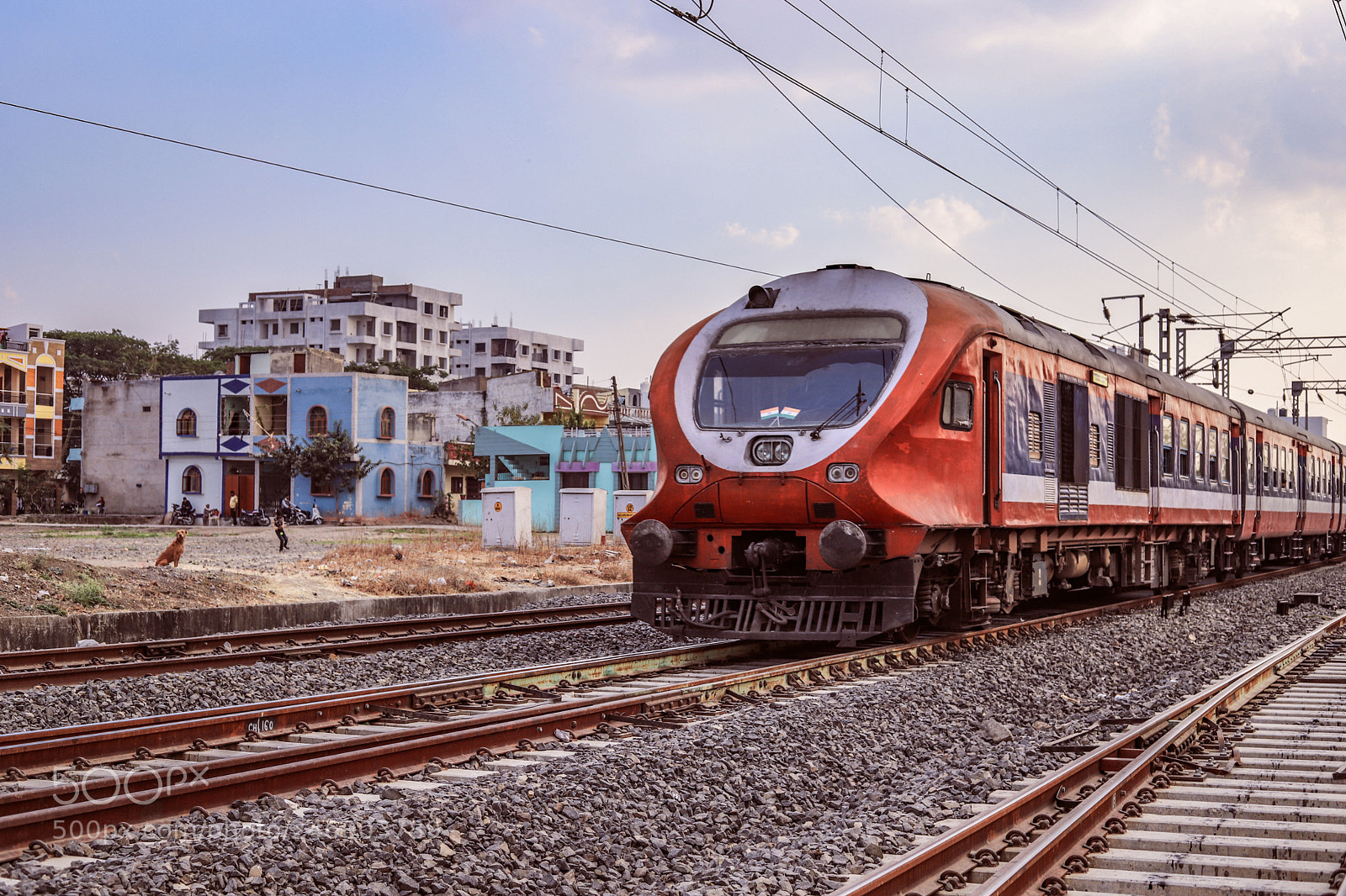Canon EOS 6D Mark II sample photo. Demu - extending connectivity. photography