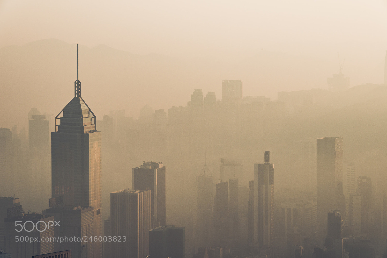 Nikon D800E sample photo. Housing in the mist photography