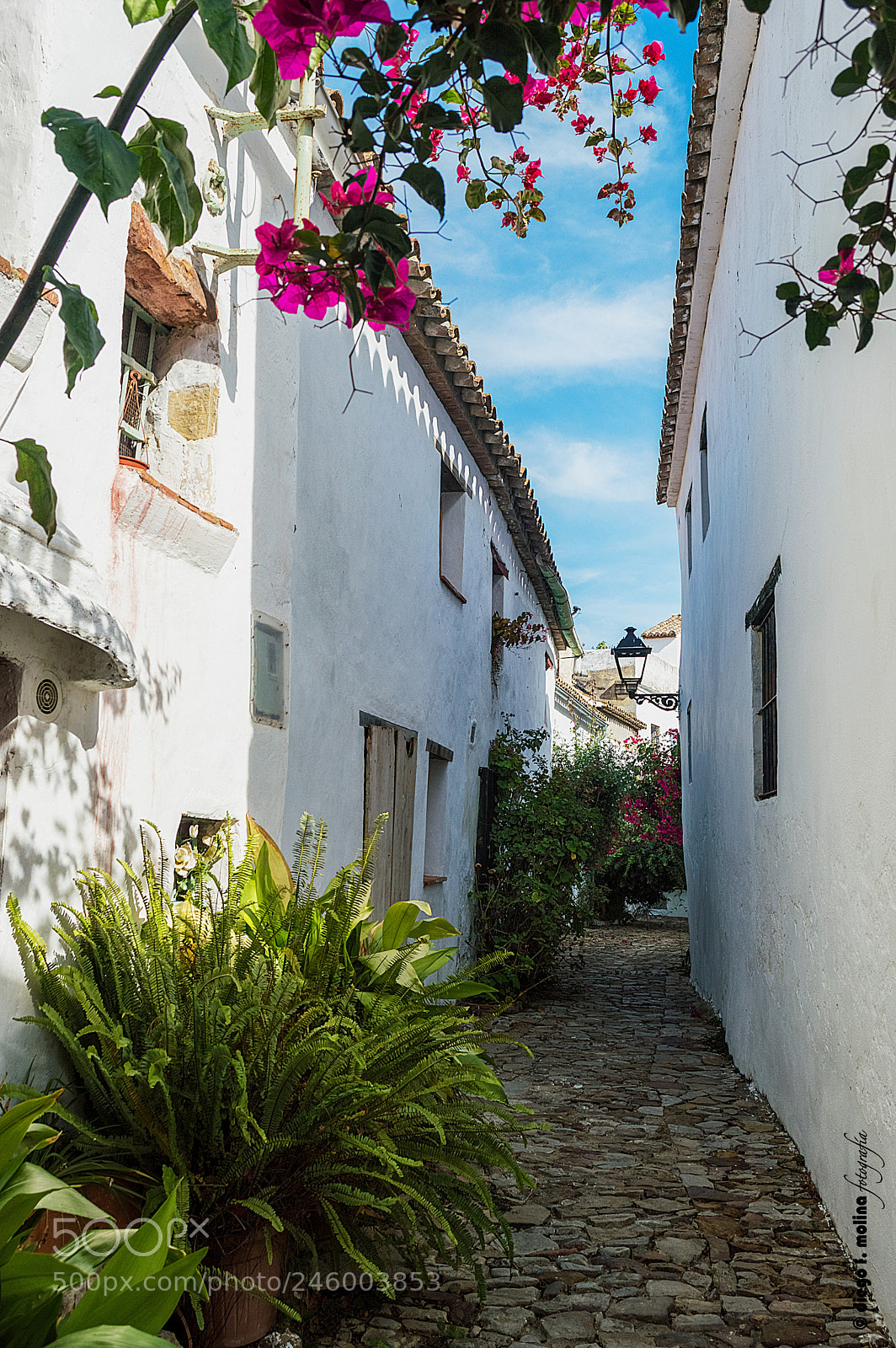 Nikon D3200 sample photo. Castellar-11 photography