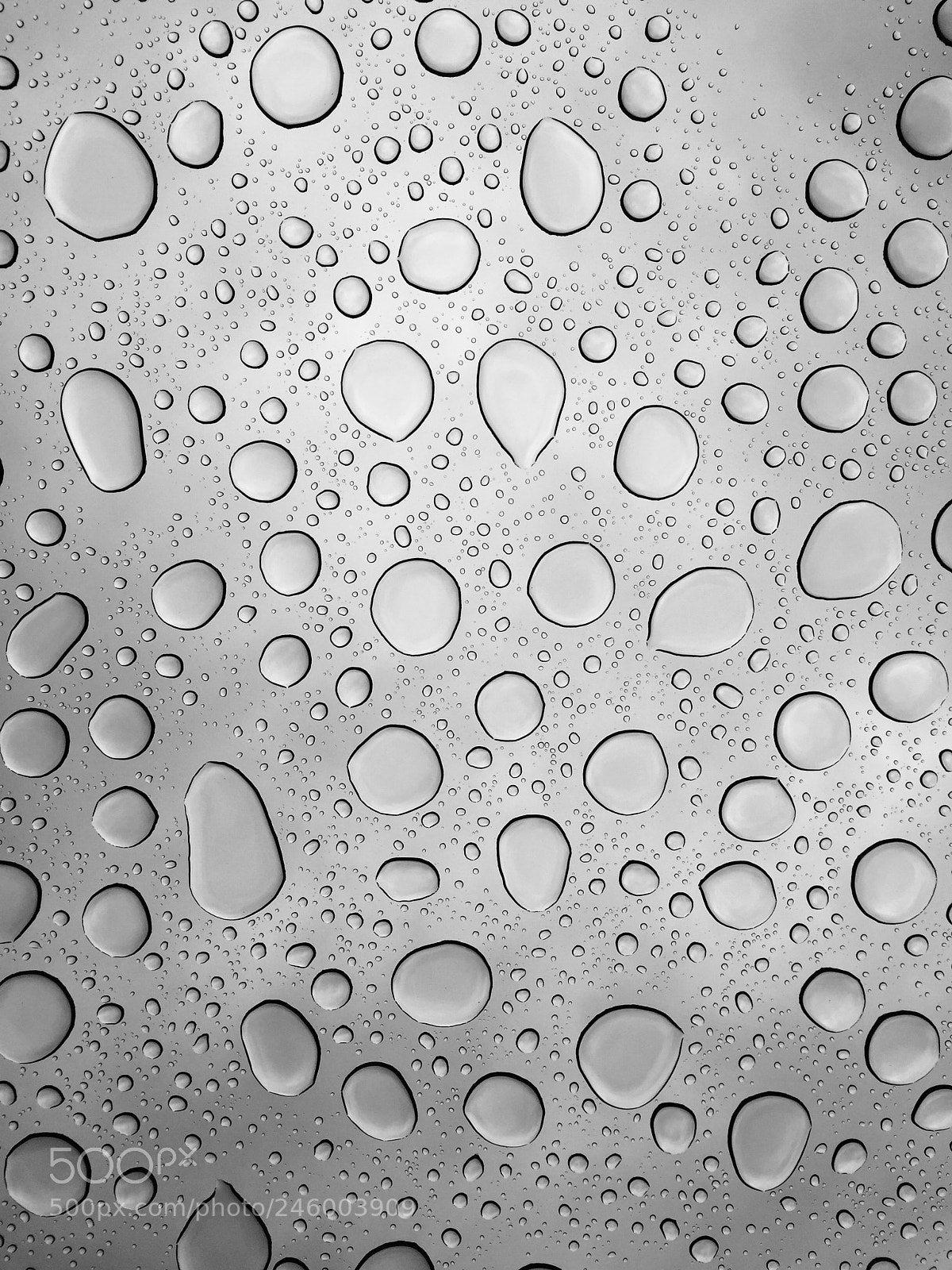Apple iPhone 6 sample photo. Raindrops on a panorama photography