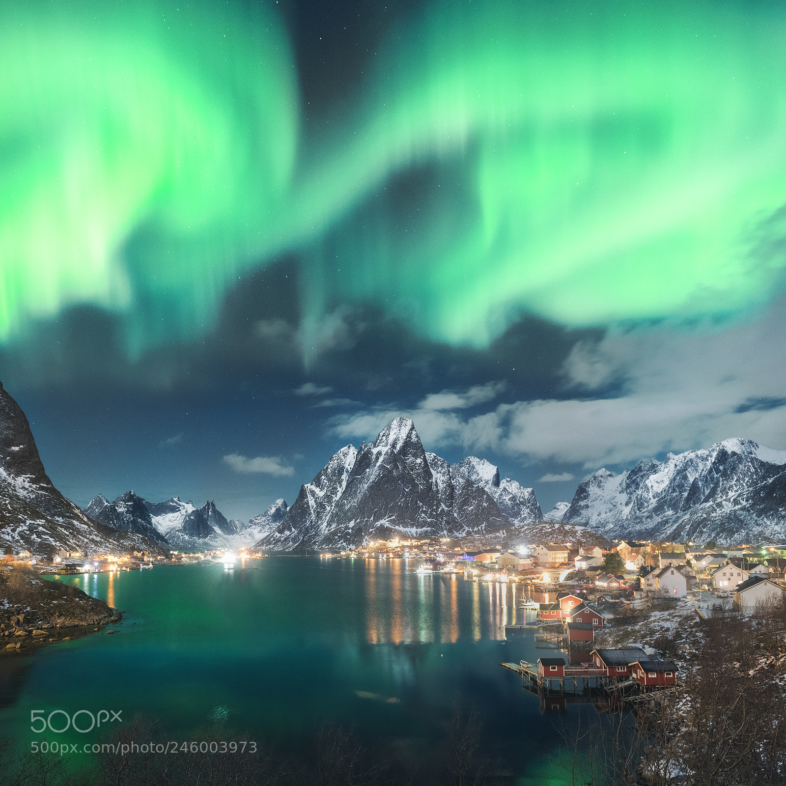 Nikon D850 sample photo. Aurora in reine photography