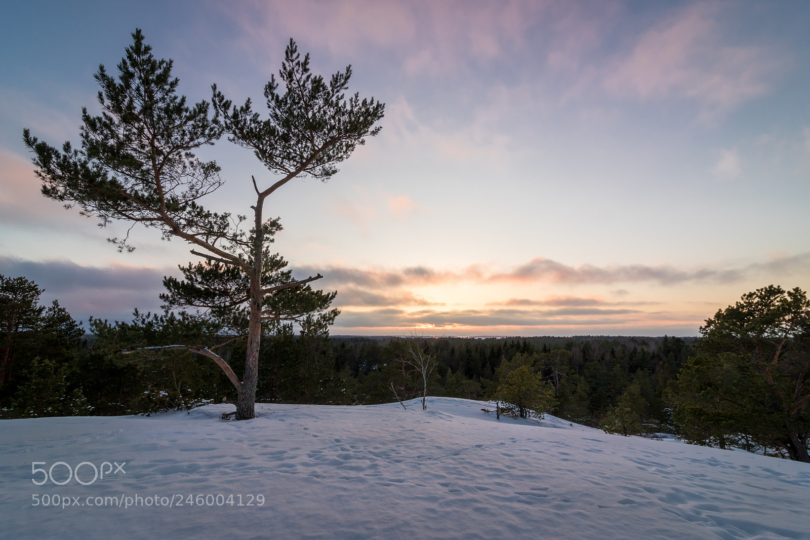 Canon EOS 750D (EOS Rebel T6i / EOS Kiss X8i) sample photo. Kokkovuori photography