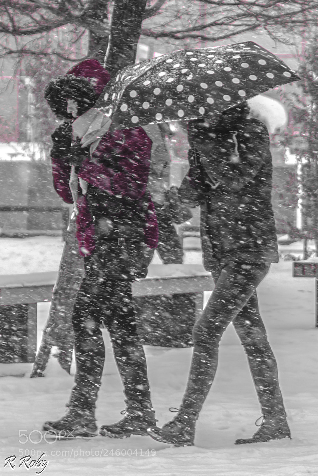 Nikon D5500 sample photo. Dans la tempête photography