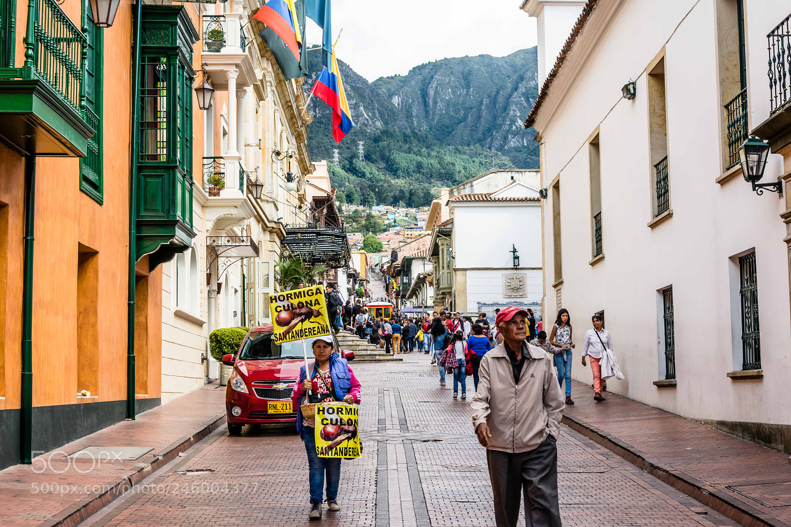 Nikon D7100 sample photo. Hormigas culonas photography