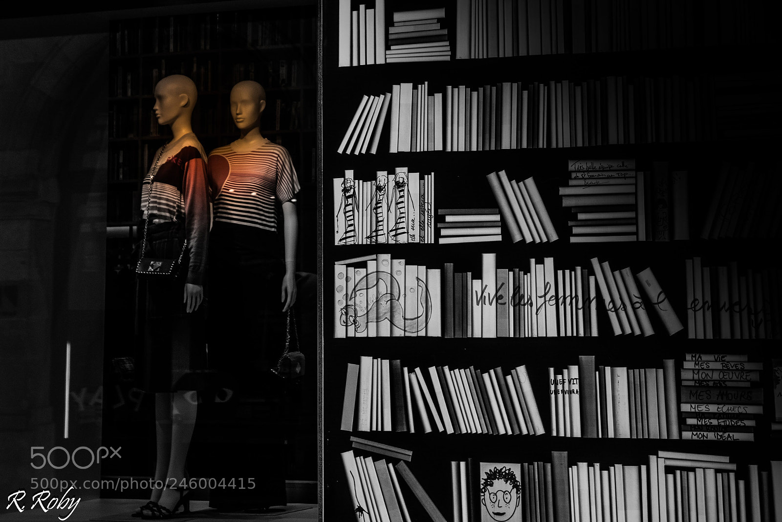 Nikon D5500 sample photo. Paris balade photography