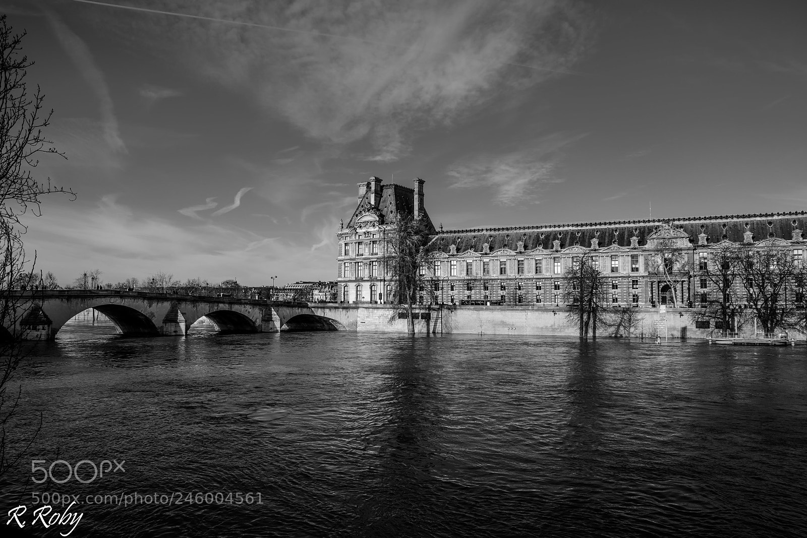 Nikon D5500 sample photo. Paris balade photography
