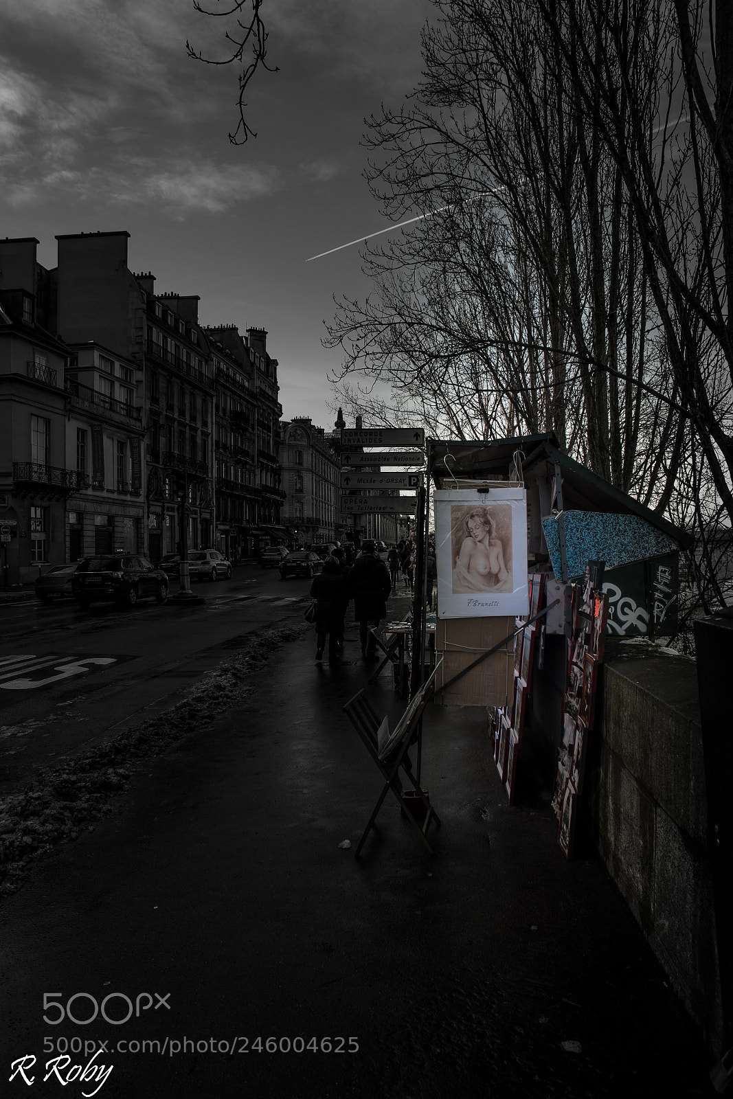 Nikon D5500 sample photo. Paris balade photography