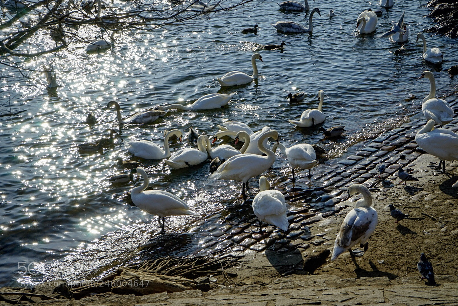 Sony a7 sample photo. Czech republic, prague photography