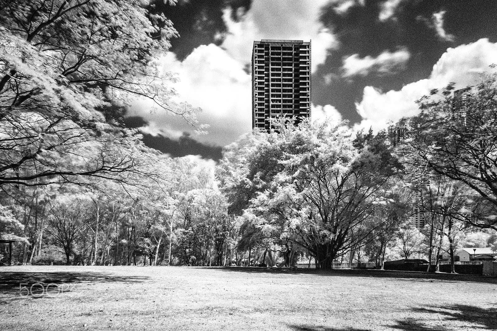 Canon EOS 5DS R sample photo. Costa del este infrared photography
