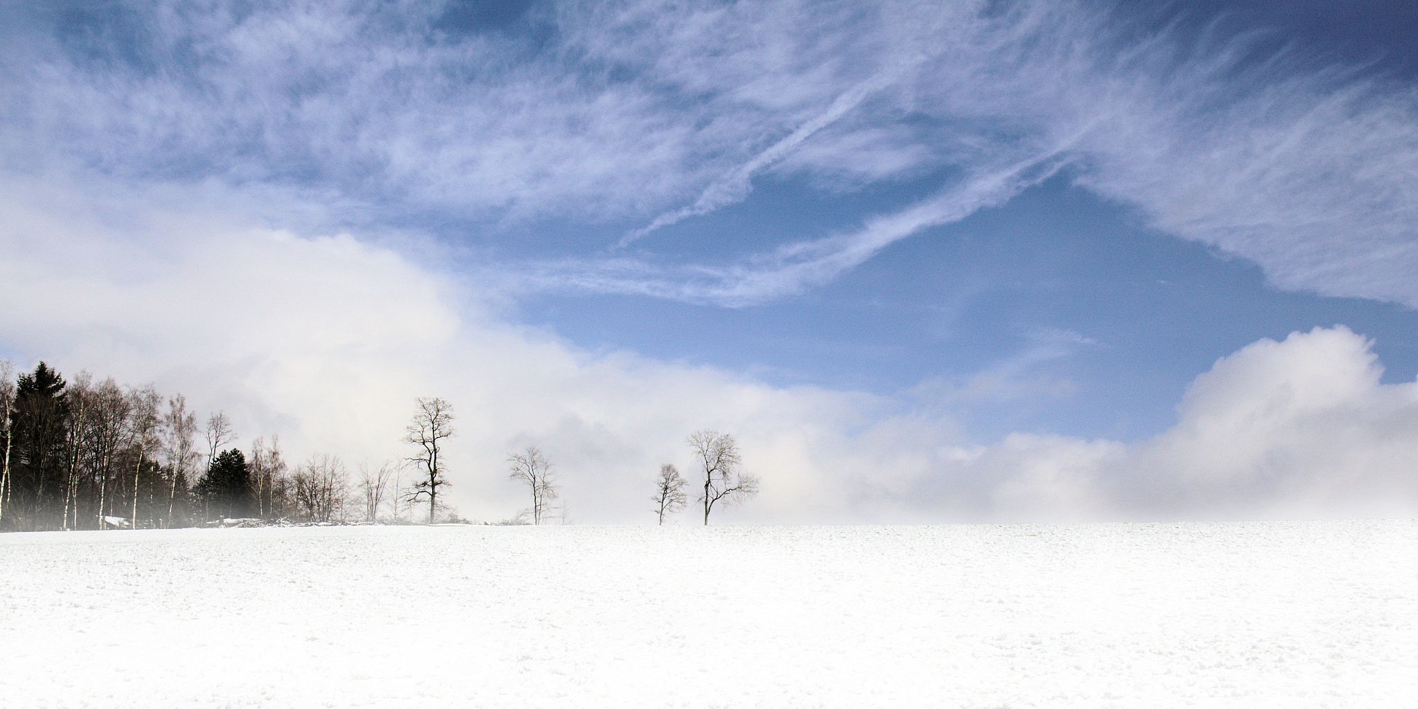 Canon EOS 700D (EOS Rebel T5i / EOS Kiss X7i) + Canon EF-S 17-55mm F2.8 IS USM sample photo. White & blue photography