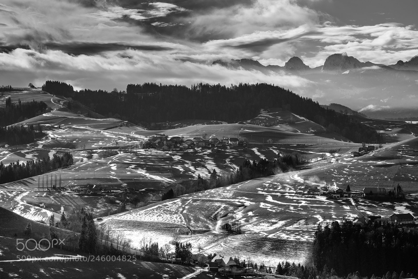 Nikon D600 sample photo. Snow spotted photography