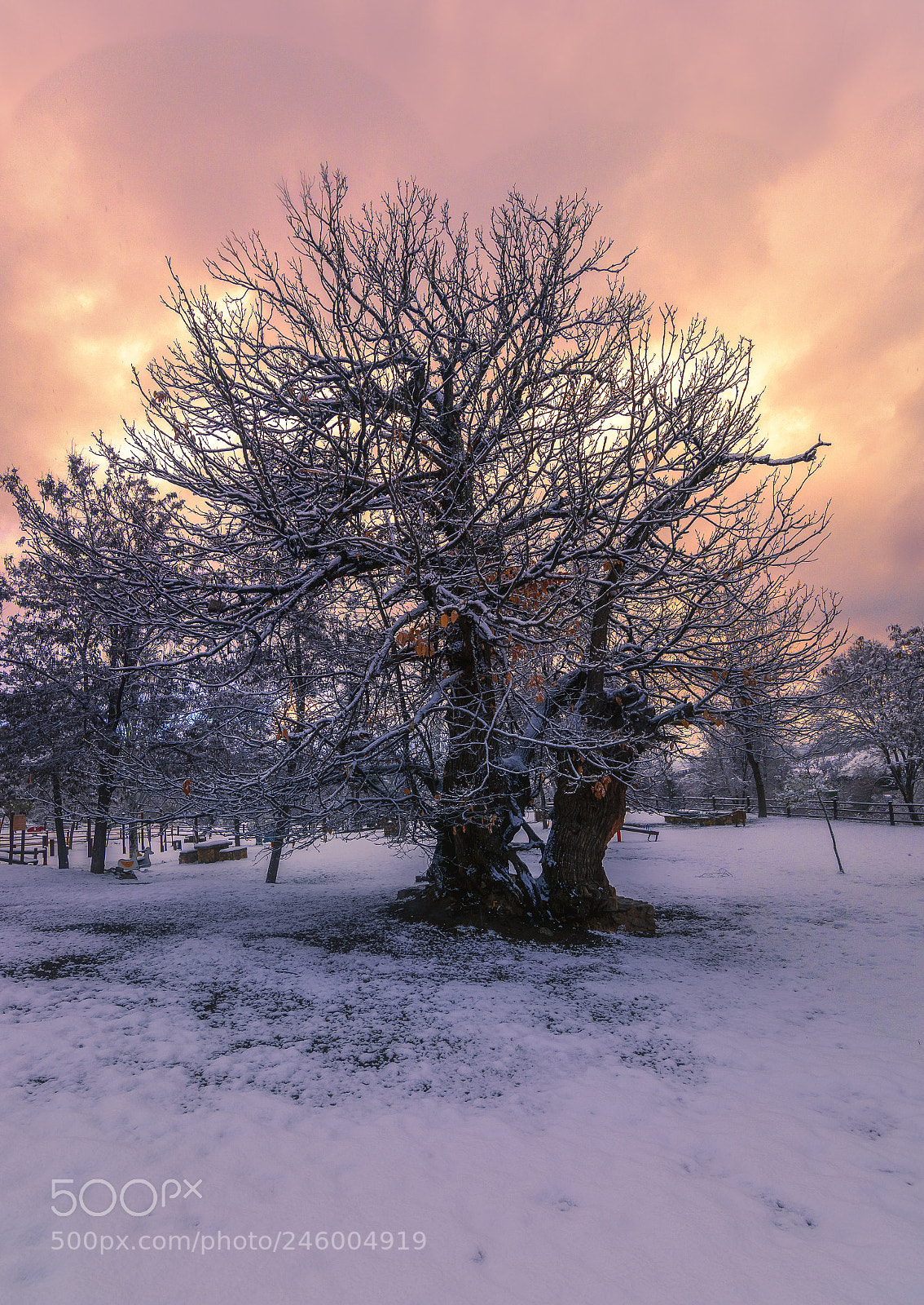 Nikon D7100 sample photo. Ice and fire photography