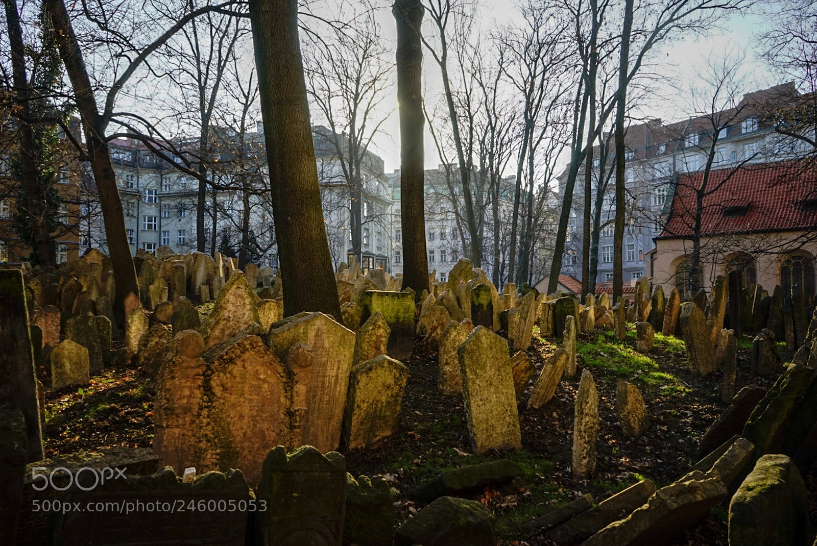 Sony a7 sample photo. Czech republic, prague photography