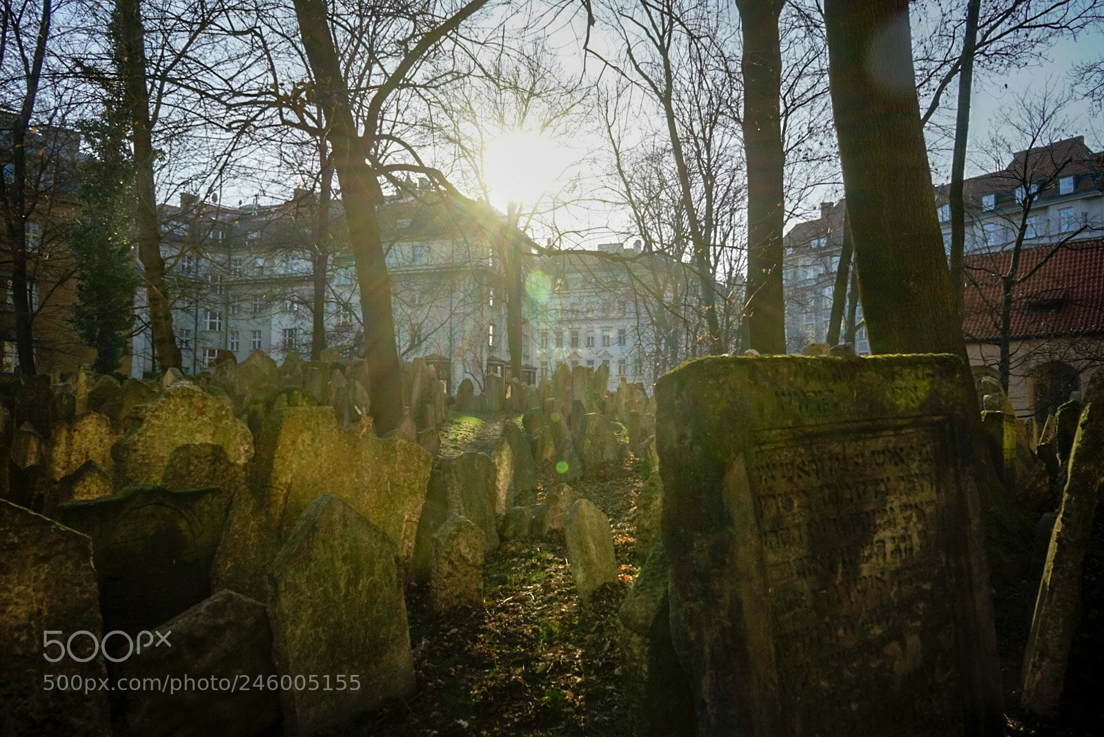 Sony a7 sample photo. Czech republic, prague photography
