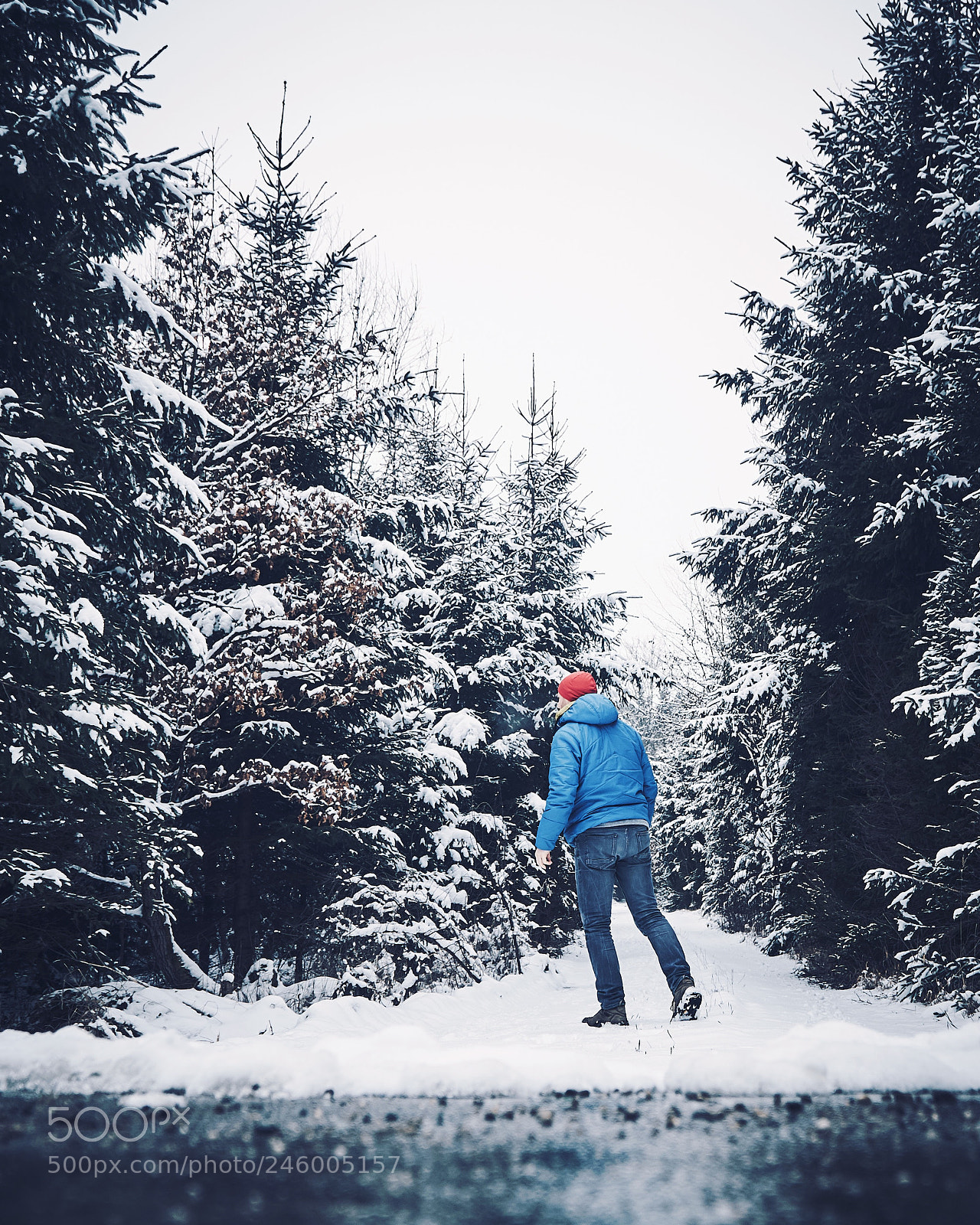 Sony a6500 sample photo. Blue jacket  photography