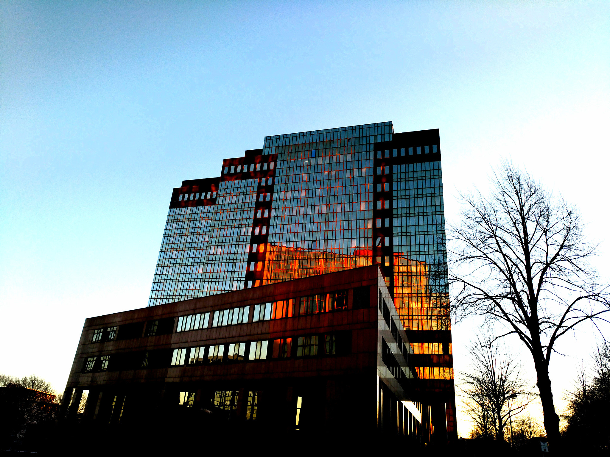 ASUS ZenFone 3 (ZE552KL) sample photo. Der morgen in essen photography