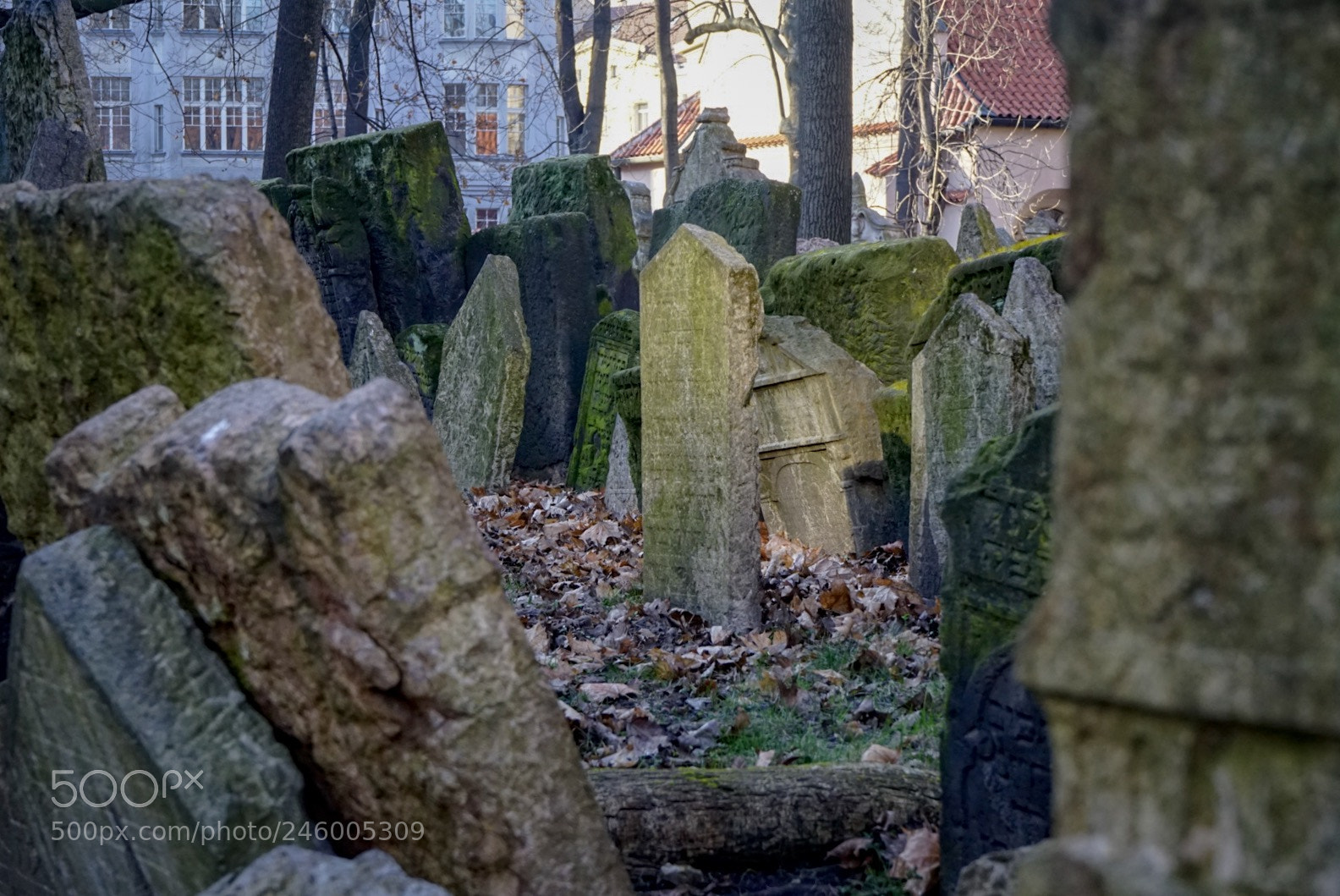 Sony a7 sample photo. Czech republic, prague photography