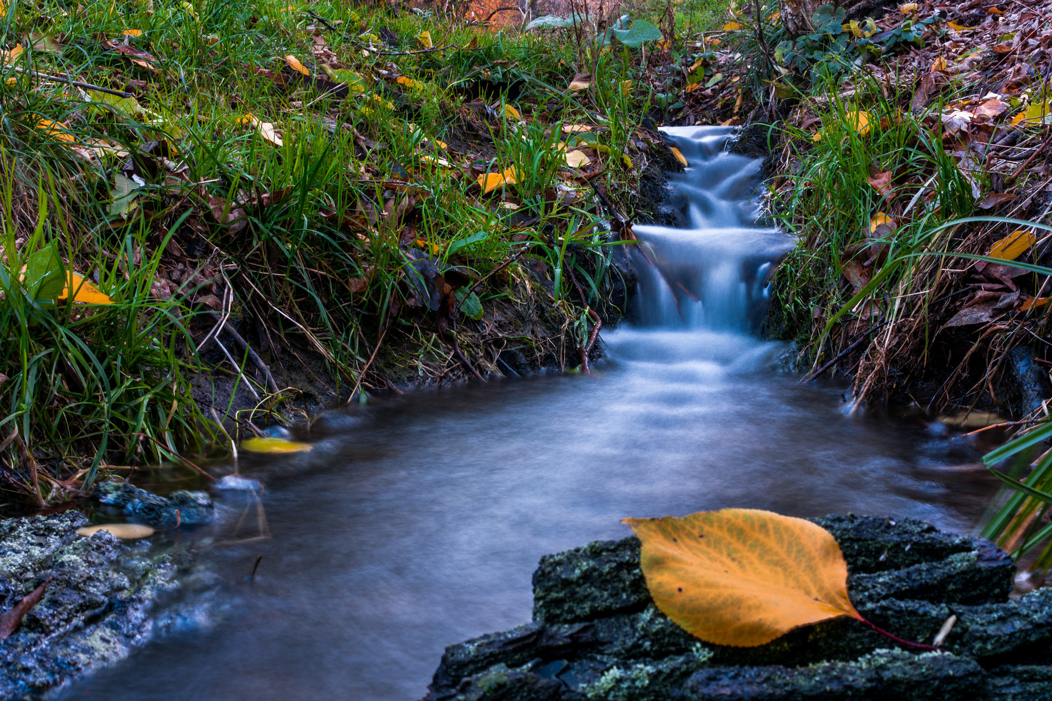 Samsung NX1100 sample photo. Stream photography