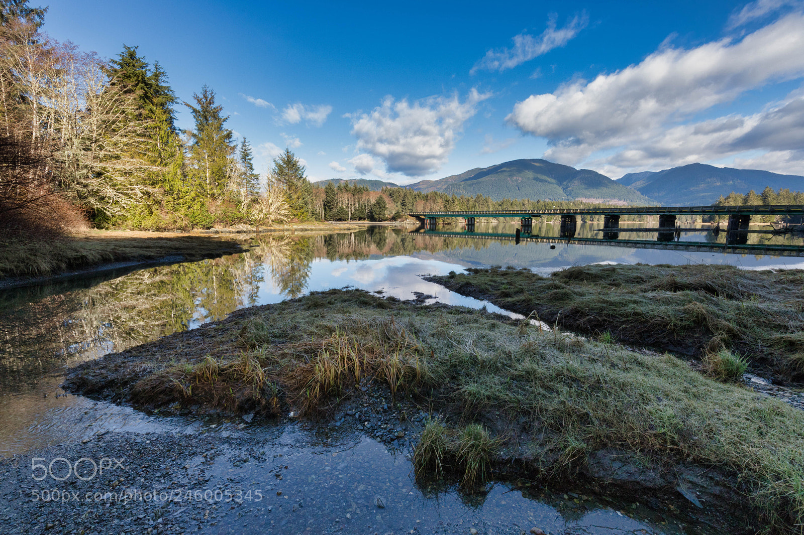 Canon EOS 6D Mark II sample photo. Morning in port renfrew photography