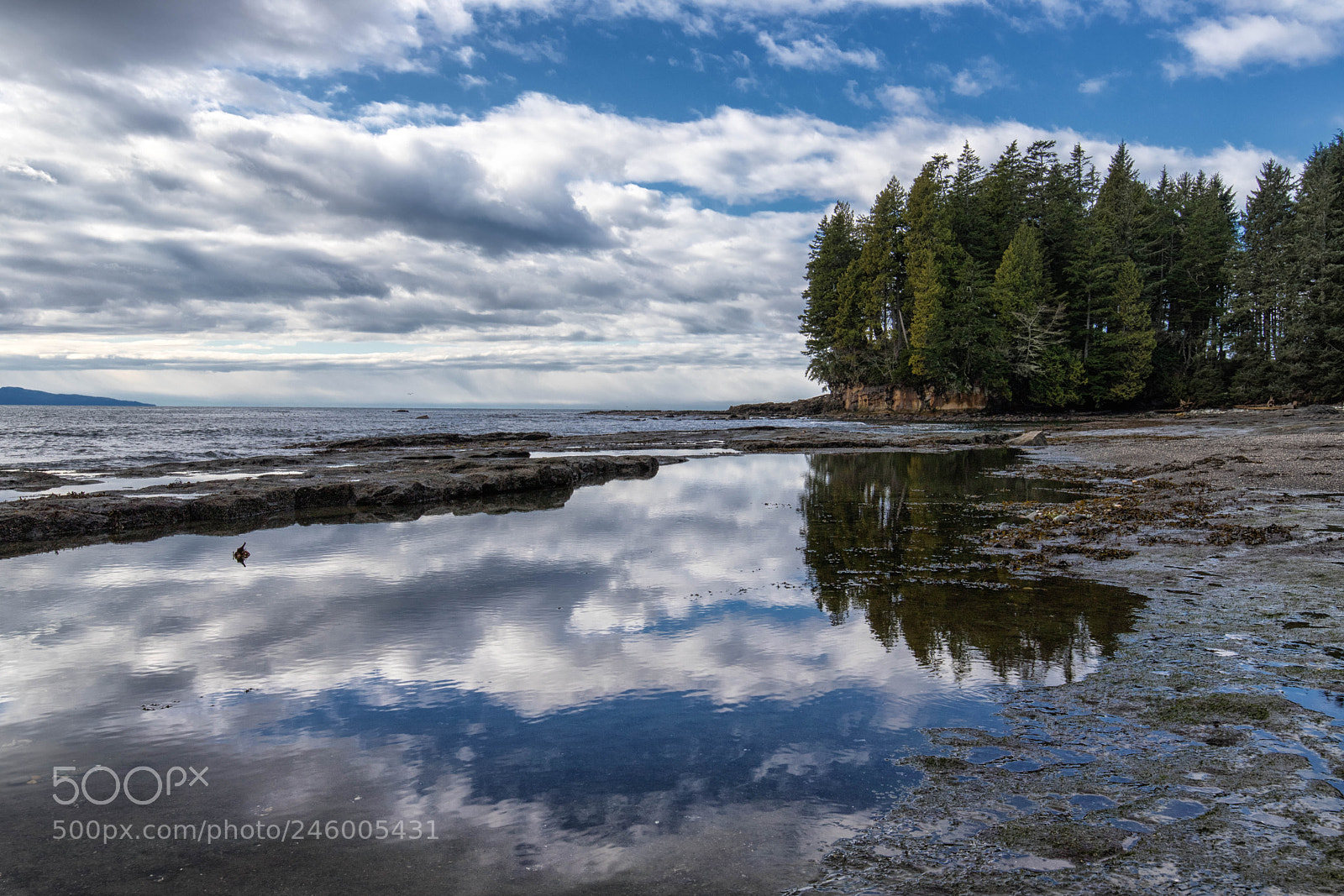 Canon EOS 6D Mark II sample photo. Tidal reflection photography
