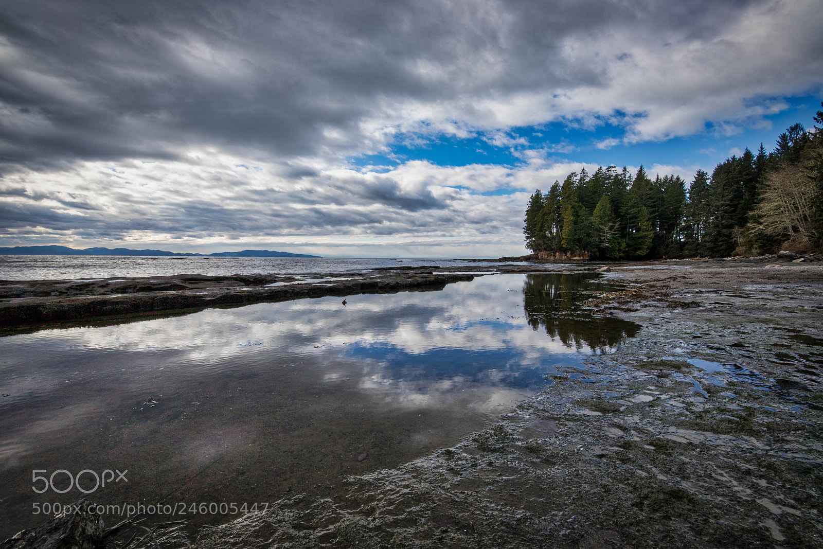 Canon EOS 6D Mark II sample photo. Tidal reflections photography