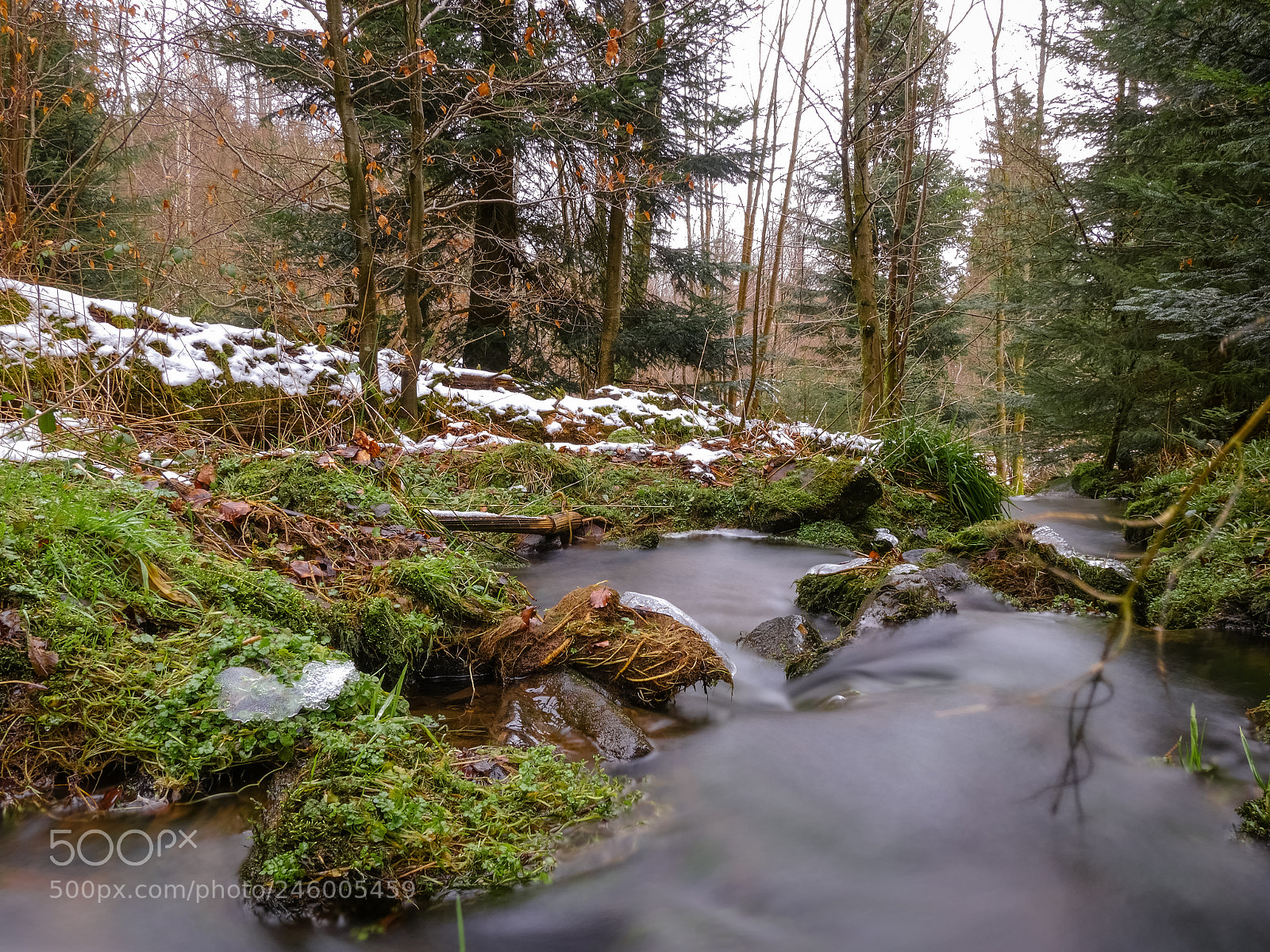 Panasonic Lumix DMC-GX8 sample photo. At the rotenbach-valley photography