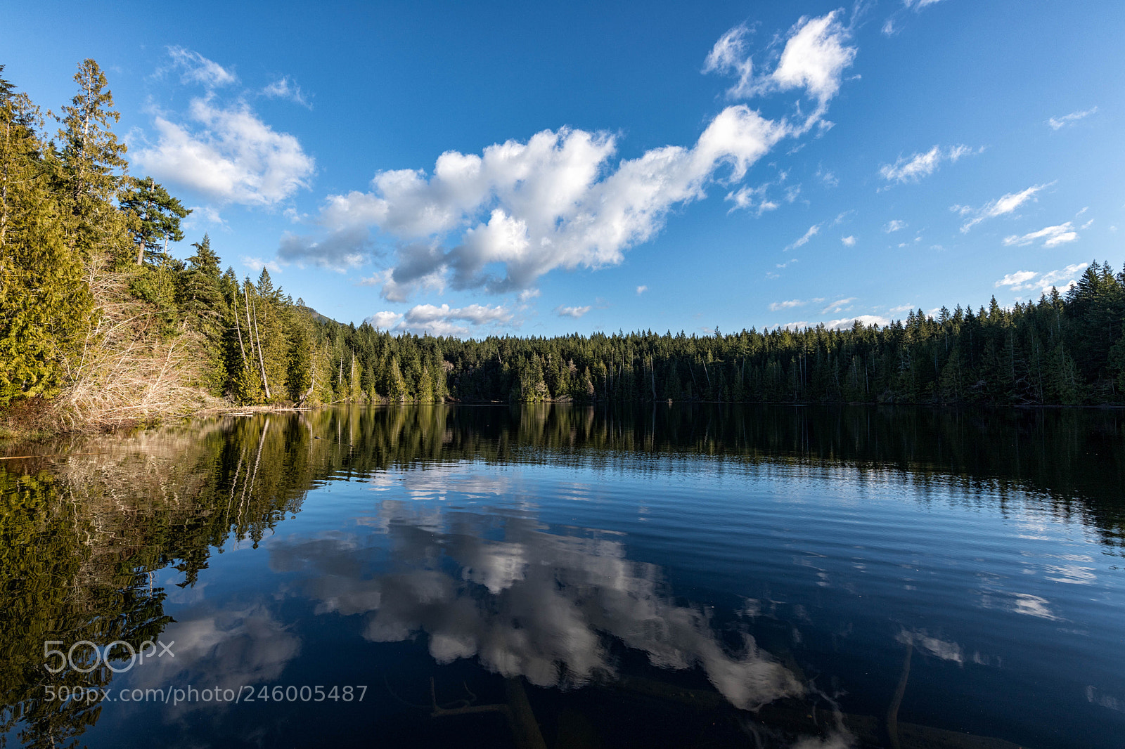 Canon EOS 6D Mark II sample photo. Upside-down photography