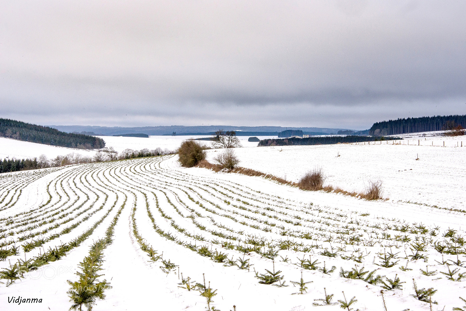 Nikon D610 sample photo. Waves in the snow photography