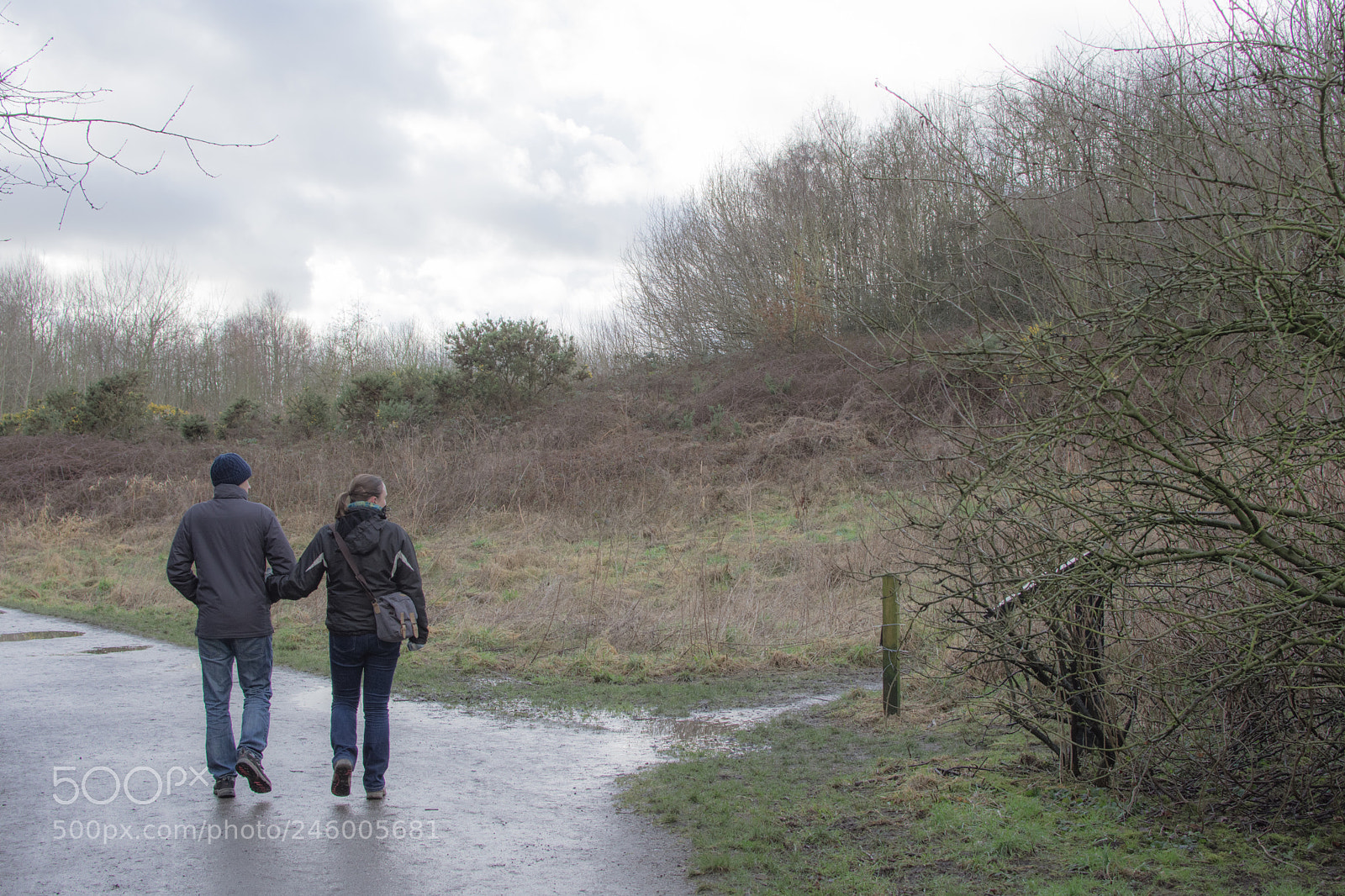 Nikon D3400 sample photo. Lovers in the mist photography