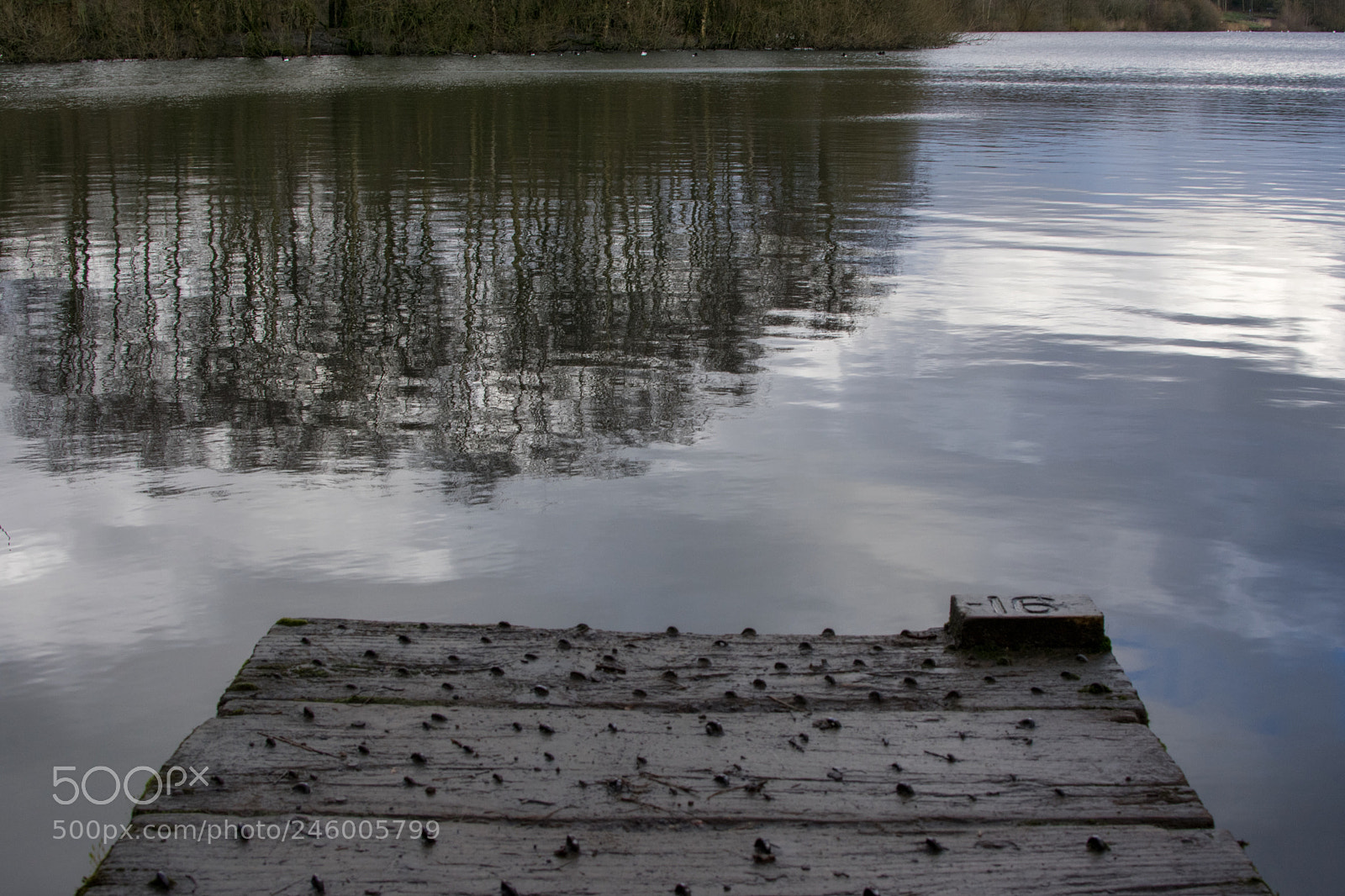 Nikon D3400 sample photo. Reflected grey photography