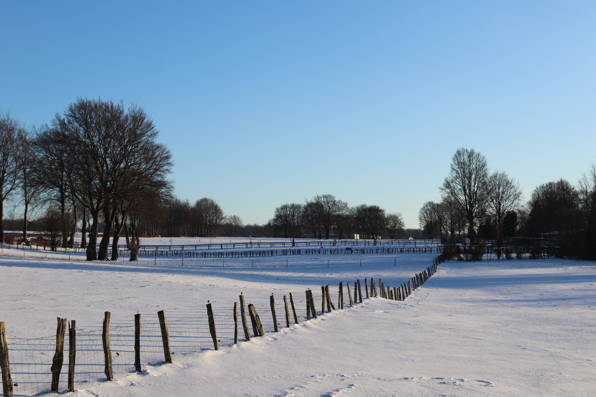 Canon EOS 77D (EOS 9000D / EOS 770D) sample photo. Winter photography
