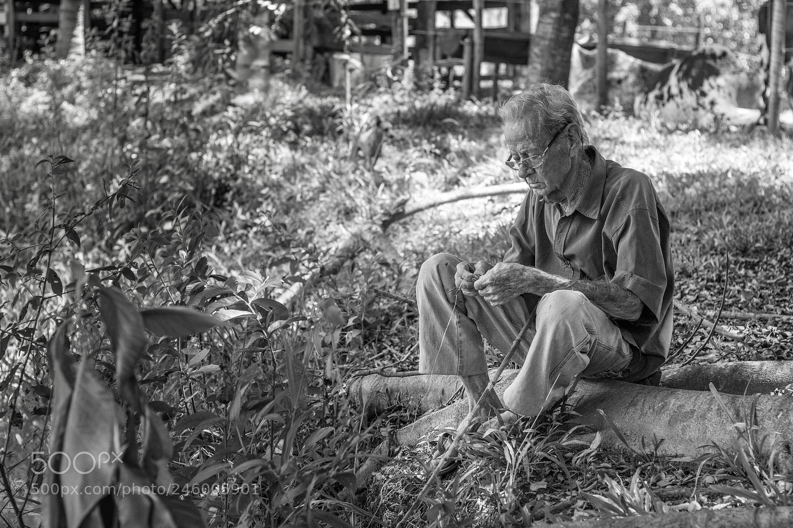 Canon EOS 60D sample photo. Pescador photography