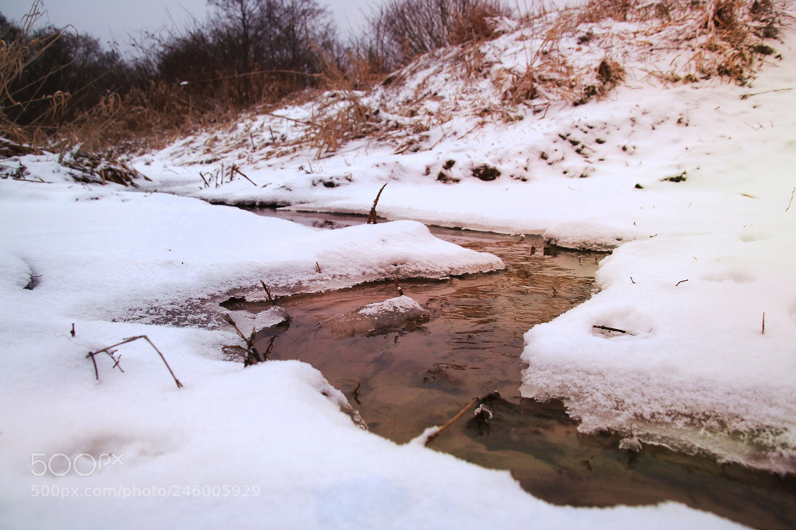 Canon EOS 760D (EOS Rebel T6s / EOS 8000D) sample photo. A winter river ;-) photography