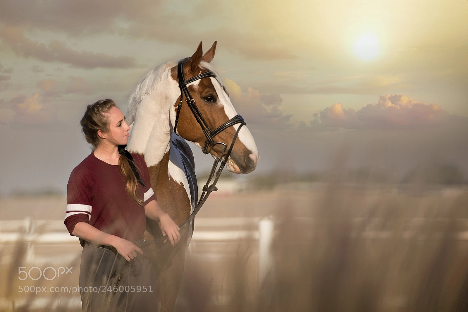 Nikon D800 sample photo. Sunset horse photography