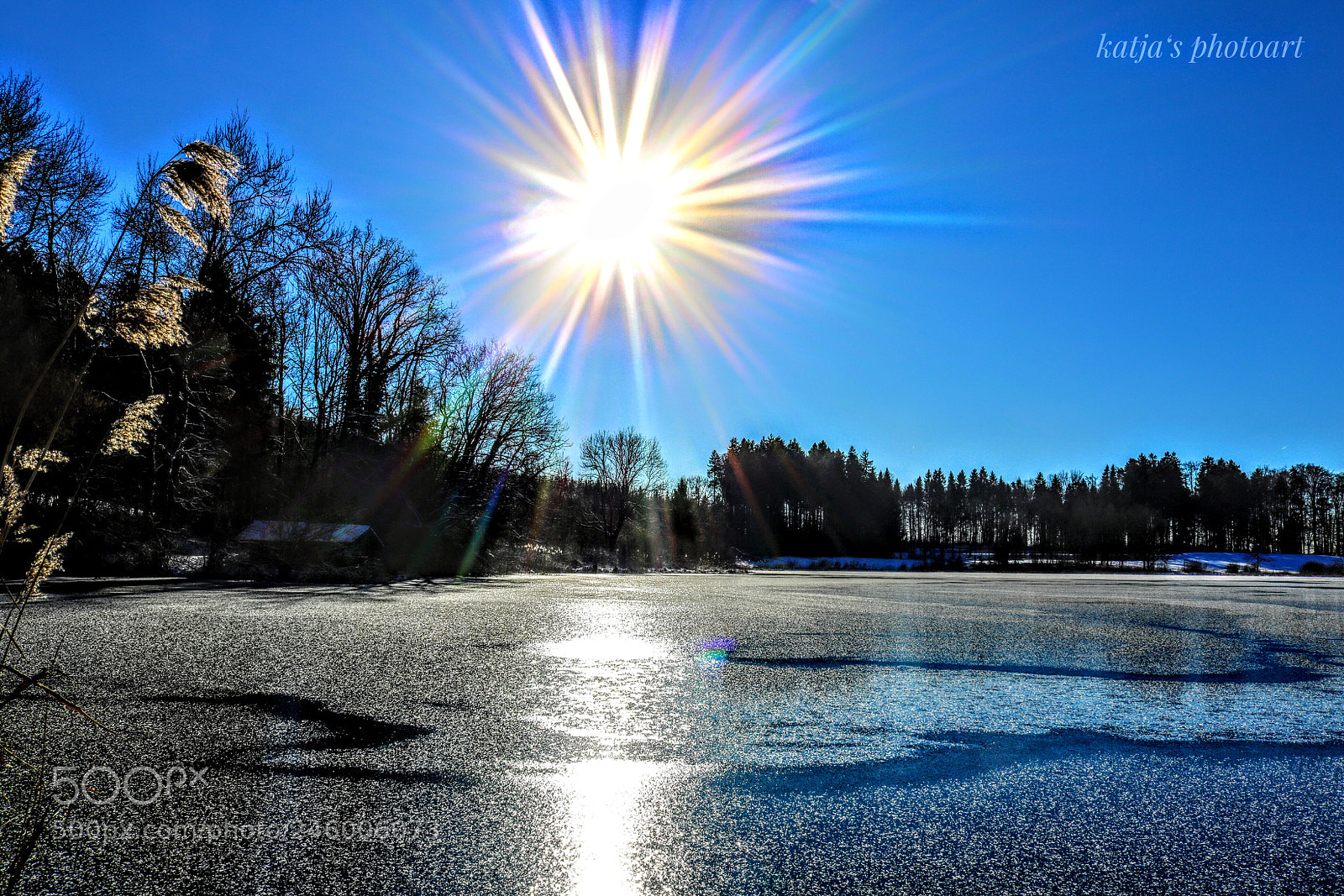 Canon EOS 750D (EOS Rebel T6i / EOS Kiss X8i) sample photo. Brauiweiher photography