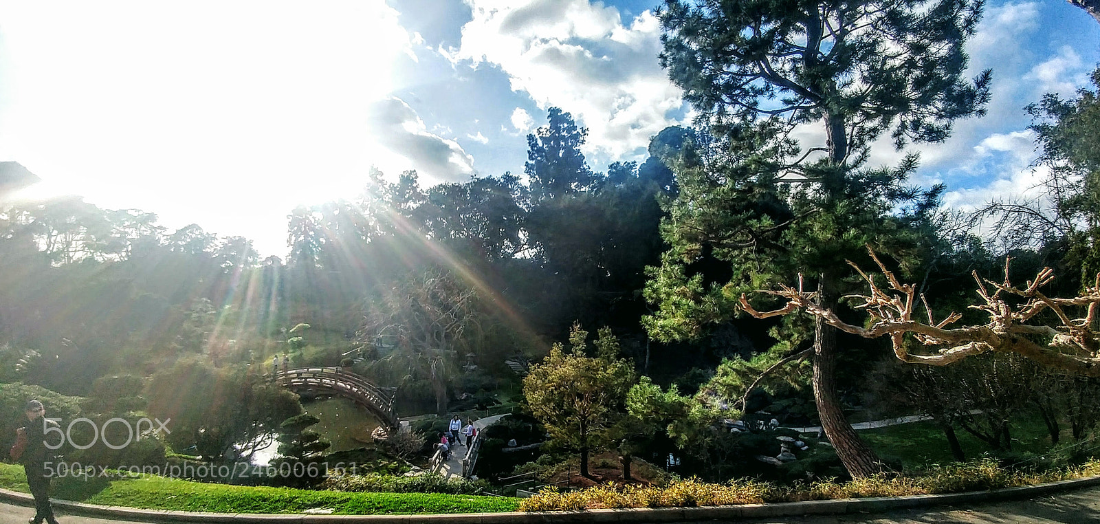 LG G5 sample photo. Lila grace photography