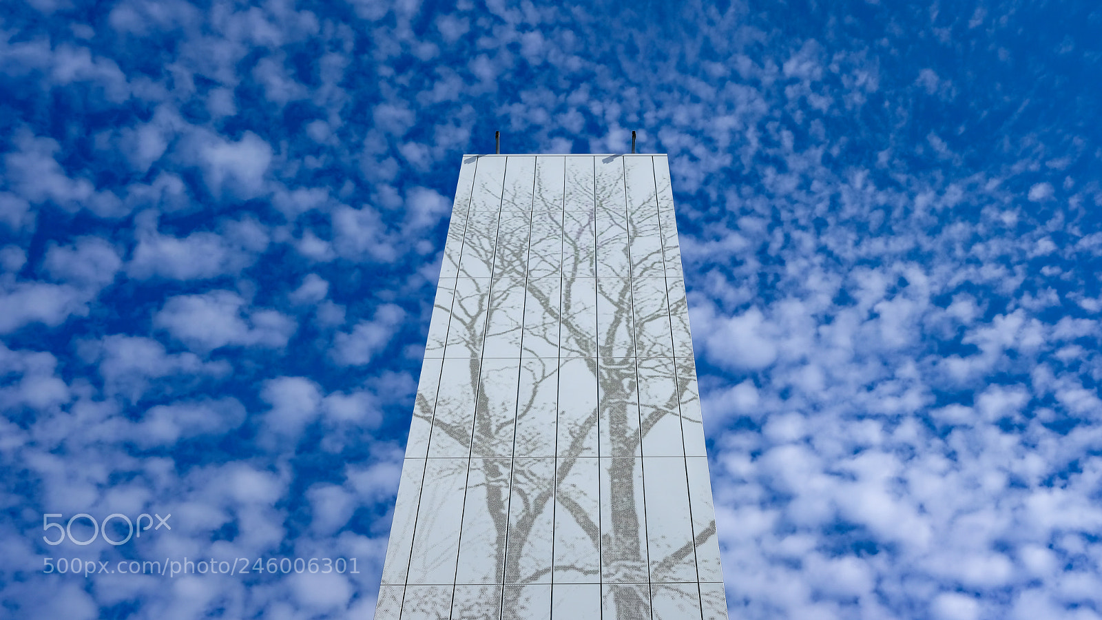 Fujifilm X-T2 sample photo. Skyroots photography