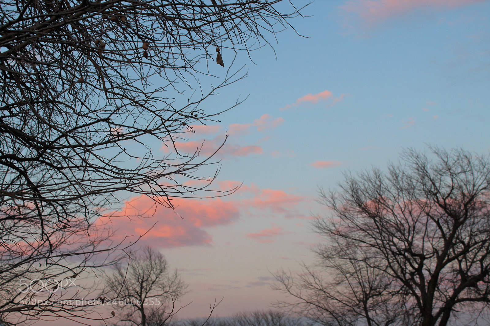 Canon EOS 1300D (EOS Rebel T6 / EOS Kiss X80) sample photo. Sunset, trees photography