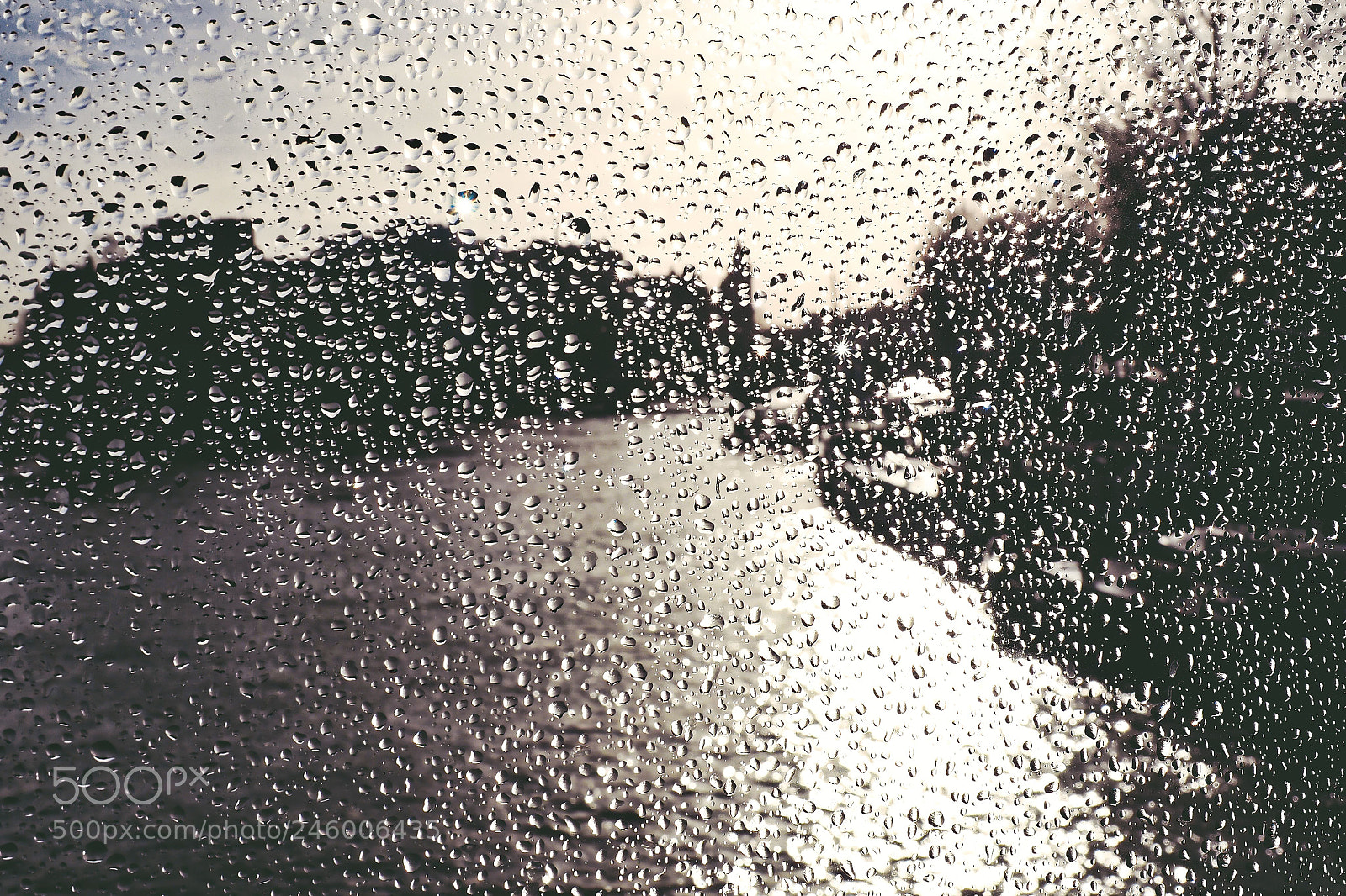 Olympus OM-D E-M5 II sample photo. Wet glass... photography