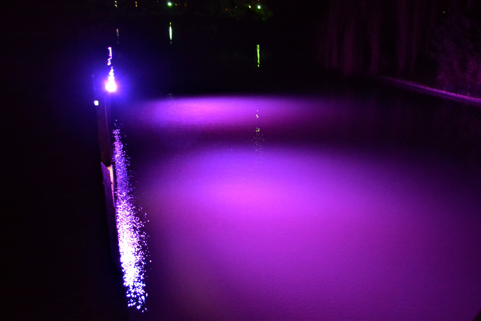 Nikon D3100 sample photo. Deep purple photography