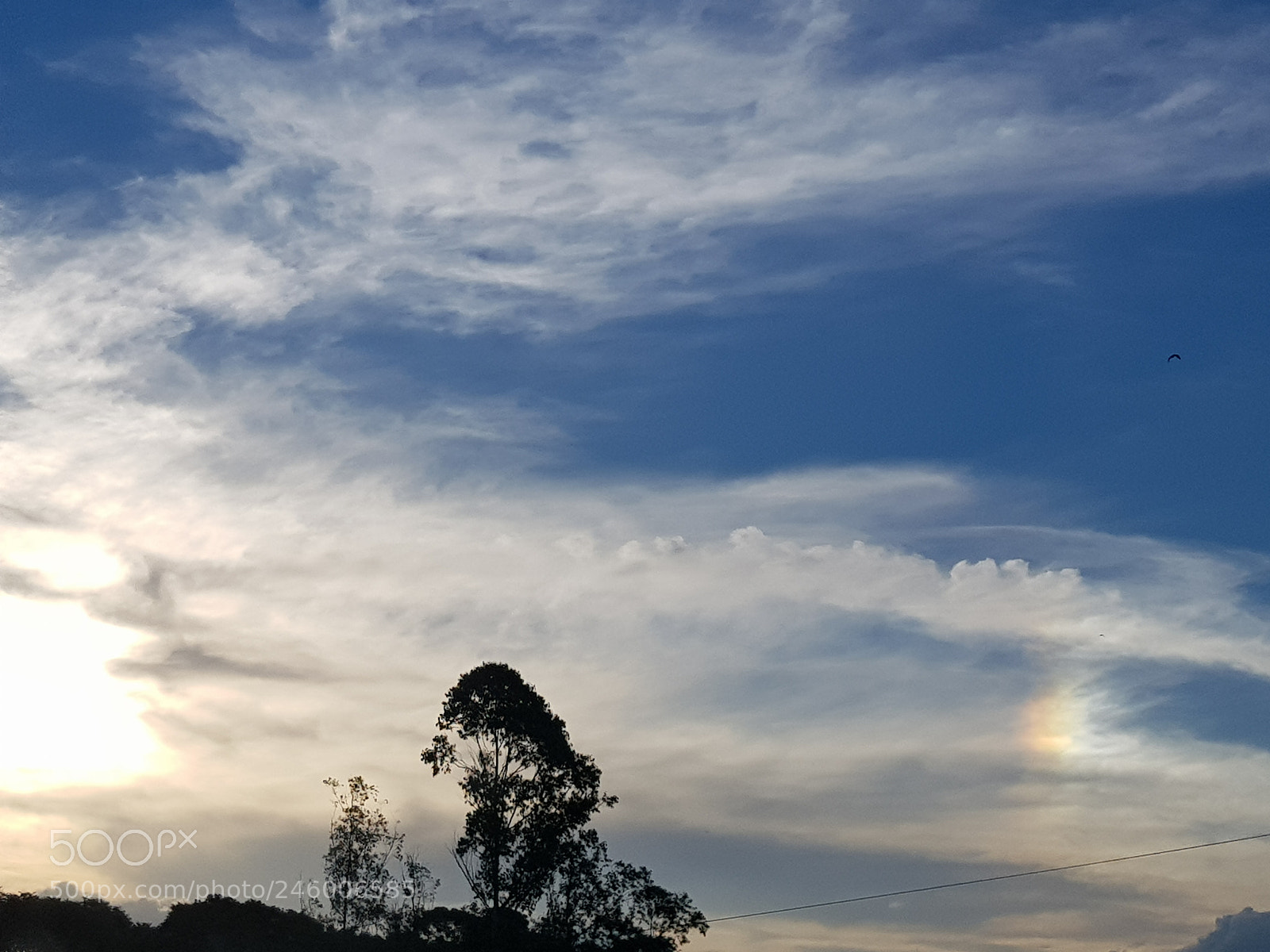 Samsung Galaxy S8 sample photo. Untitled photography