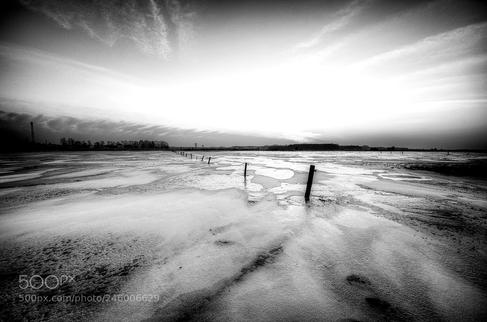 Pentax K-30 sample photo. Winter impression in bw photography