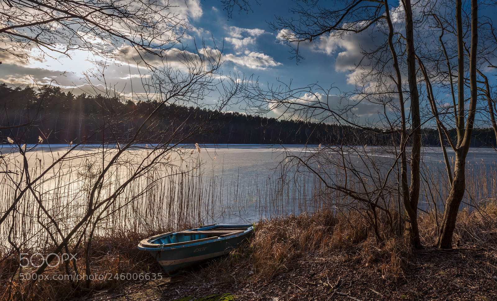 Pentax K-1 sample photo. Schwansee im winter photography