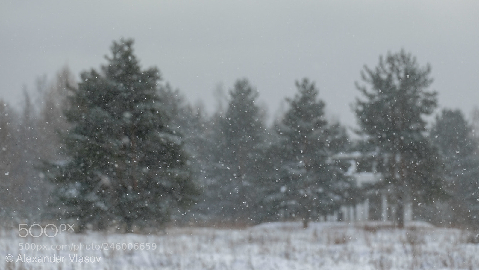 Fujifilm X-T10 sample photo. Let it snow photography