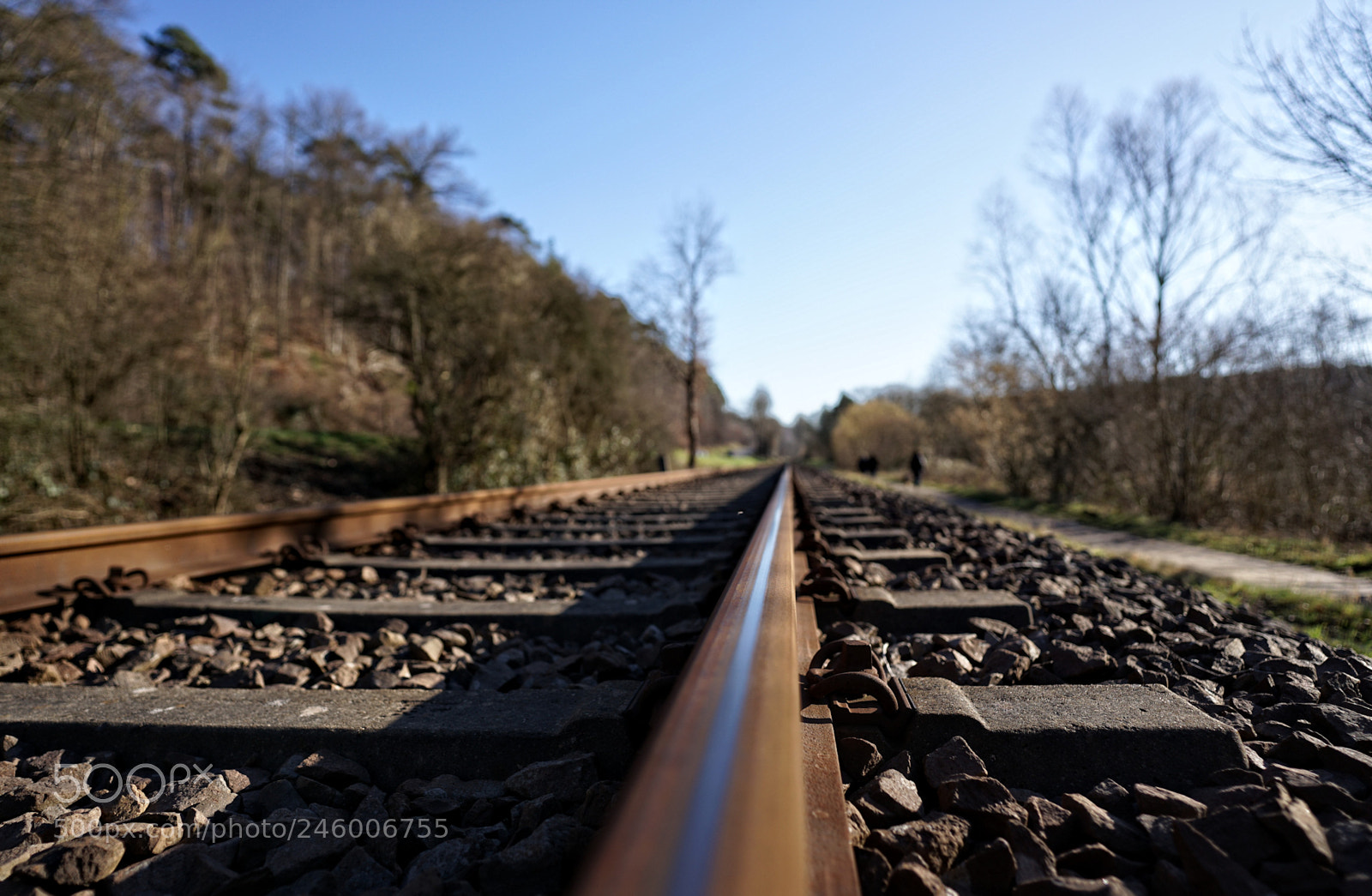 Sony a7 II sample photo. Trainspotting photography